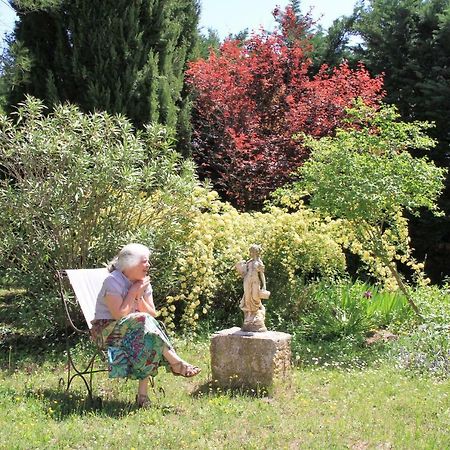 Gite Derriere Les Oliviers -Le Mas De La Cigale Bleue Caumont-sur-Durance Exteriör bild