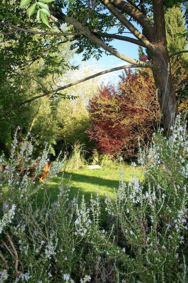 Gite Derriere Les Oliviers -Le Mas De La Cigale Bleue Caumont-sur-Durance Exteriör bild